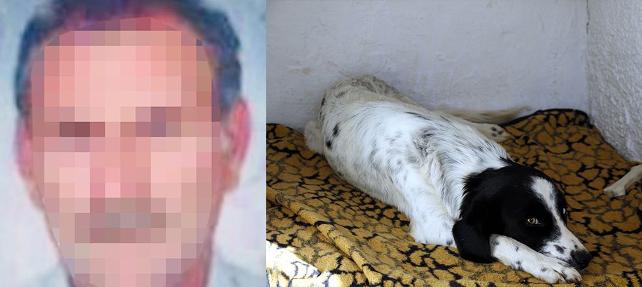 Antalya’da İğrenç Olay! Çocuk Parkında Köpeğe Tecavüz Ederken Yakalandı