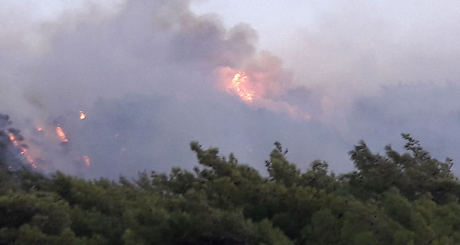 Datça’da 2 Ayrı Bölgede Orman Yangını Çıktı! Sabotaj İddiaları Güçlendi