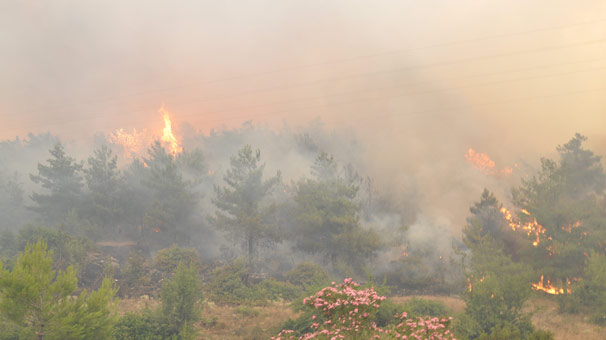 İzmir’de Büyük Orman Yangını! Bölgede Elektrik ve Sular Kesildi