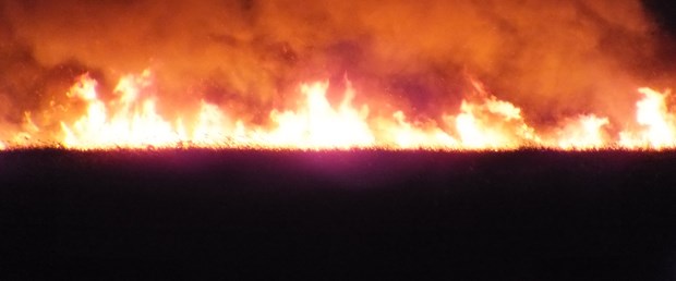 Koruma altındaki Göksu Deltası'nda yangın