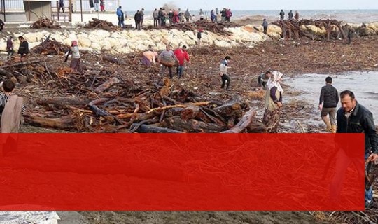 Mersin'de Dar Gelirli Vatandaşlar Sel Sularını Fırsata Çevirdi