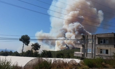Antalya Cayır Cayır Yanıyor! Yangın Hızla Büyüdü
