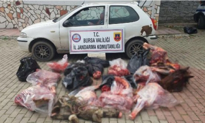 Bursa’da Dehşete Düşüren Manzara! Tam 306 Kilo At Eti Yakalandı