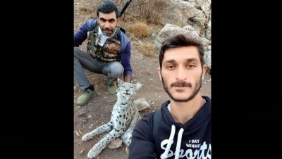 Erzurum’da Vaşak Katliamı! Nesli Tükenmekte Olan Hayvanı Öldürüp Sosyal Medyada Paylaştılar