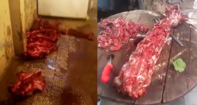 İzmir’de Vahşet Görüntüler! İnsanlara Yedirilmek Üzere Tam 500 Kilo At Eti Yakalandı