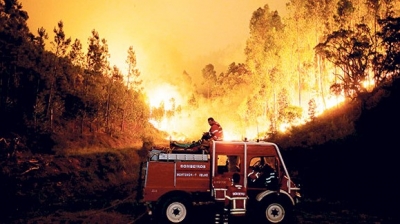 Portekiz’de Büyük Yangın Devam Ediyor! Şuana Kadar 61 Kişi Hayatını Kaybetti