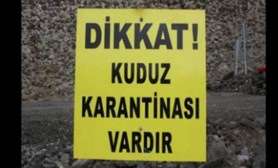 Son Dakika! Antalya'da 7 Mahalle Kuduz Şüphesi ile Karantina Altına Alındı